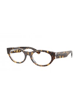 RAY BAN 